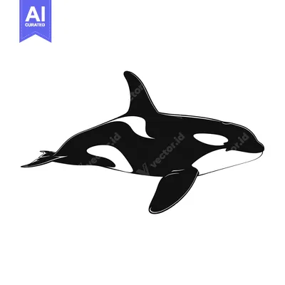 Popular premium asset: Black and White Silhouette of a Killer Whale Swimming