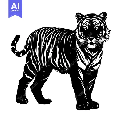 Aset premium populer: Black and White Illustration of a Standing Tiger