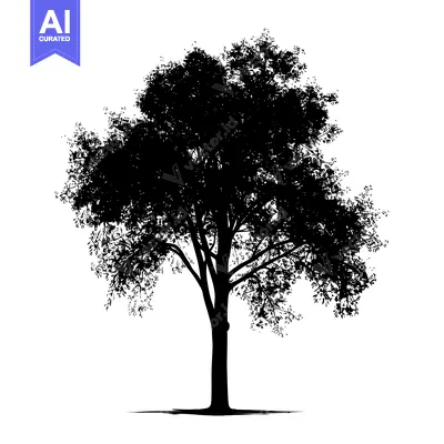 Aset desain premium: Black Silhouette of a Large Tree with Spreading Branches