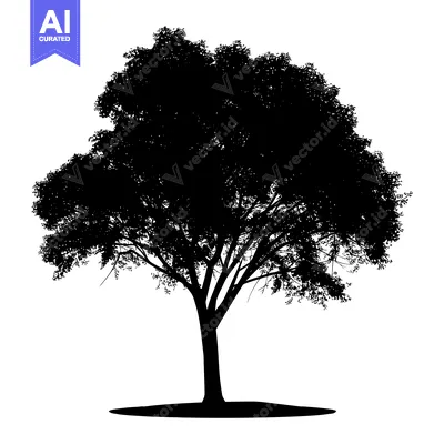 Premium design asset: Silhouette of a Tree with Lush Foliage and a Thick Trunk