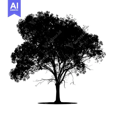 Black Silhouette of a Single Tree with Spread Branches