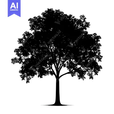 Silhouette of a Large, Lush Tree with a Thick Trunk