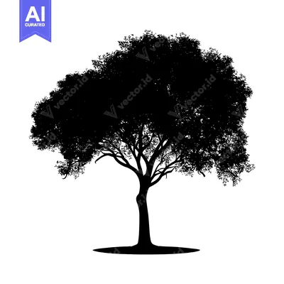 A Silhouette of a Single Tree with Spreading Branches