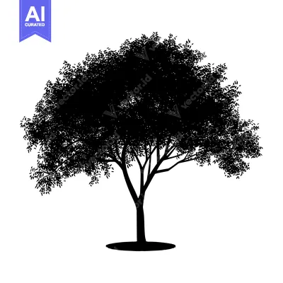 Aset premium populer: Black Silhouette of a Tree with Detailed Foliage