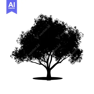 Silhouette of a Tree with a Thick Trunk and Spreading Branches
