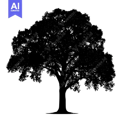 Aset desain premium: Black and White Silhouette of a Tree with Lush Foliage