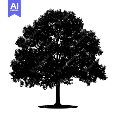 Silhouette of a Single Tree with Dense Foliage