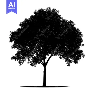 Aset premium populer: Silhouette of a Tree with Lush Foliage and a Single Trunk