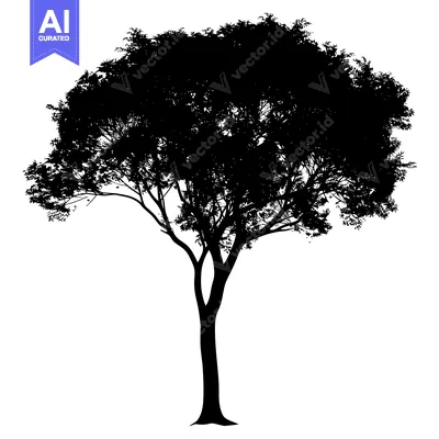 Popular premium asset: Silhouette of a Large Tree with Branching Trunk and Dense Foliage