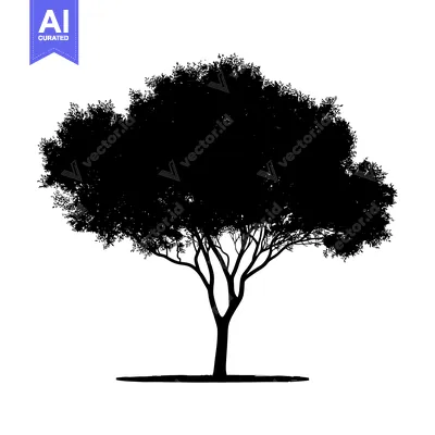 Silhouette of a Large Tree with Spreading Branches
