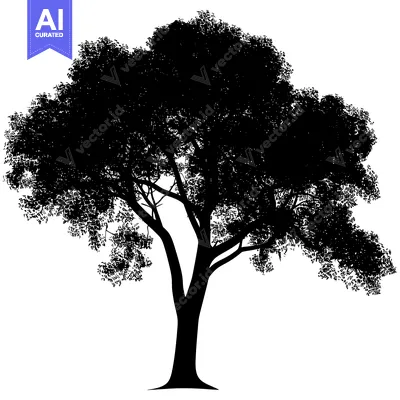 Popular premium asset: Silhouette of a Large Deciduous Tree with Spreading Branches