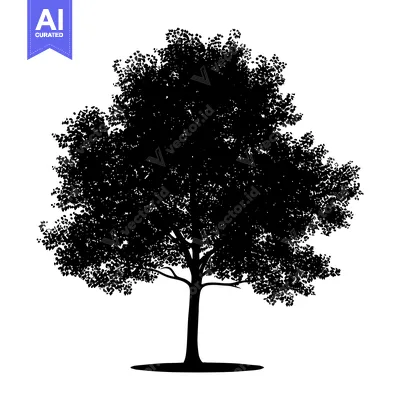 Aset premium populer: Black Silhouette of a Deciduous Tree with a Thick Canopy
