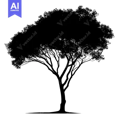 Aset premium populer: Silhouette of a tree with intricate branches and a dense canopy of lea