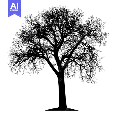 Popular premium asset: Silhouette of a Bare Tree with Intricate Branches