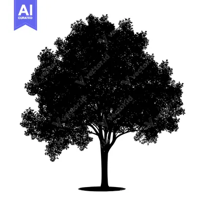 Aset premium populer: Silhouette of a tree with lush foliage and a thick trunk