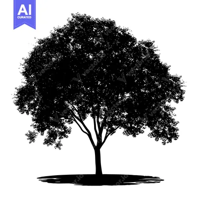 Premium design asset: Silhouette of a Large Tree with Spread-out Branches