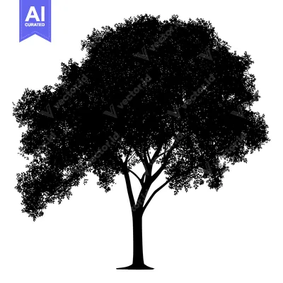 Popular premium asset: Black and White Silhouette of a Tree with Dense Foliage