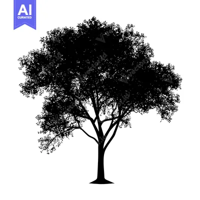 Popular premium asset: Black Silhouette of a Tree with Branches and Leaves