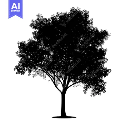 Popular premium asset: Silhouette of a Large Tree with Branches and a Thick Trunk