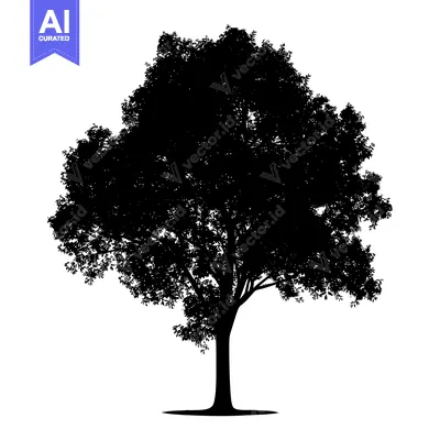 Popular premium asset: Black silhouette of a tree with branches and leaves
