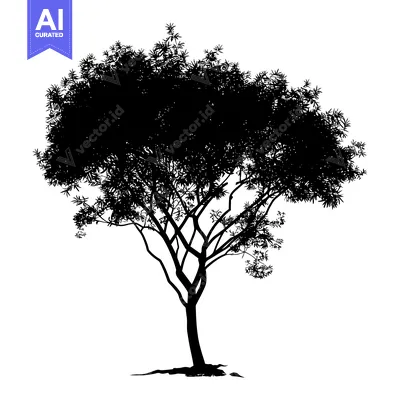 Black Silhouette of a Tree with Branches and Foliage