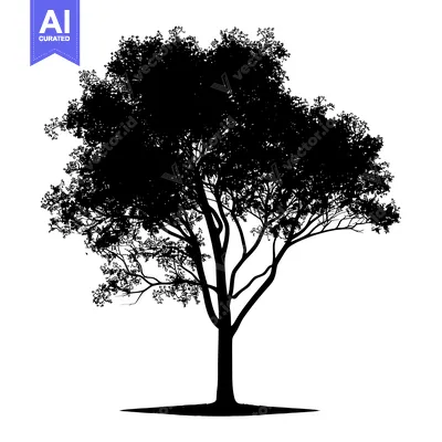 Premium design asset: Black Silhouette of a Deciduous Tree with Branching Trunk