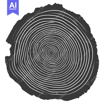 Aset premium populer: Cross Section of a Tree Trunk with Visible Growth Rings