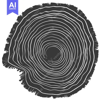 Premium design asset: Black and White Tree Trunk Cross-Section with Visible Rings