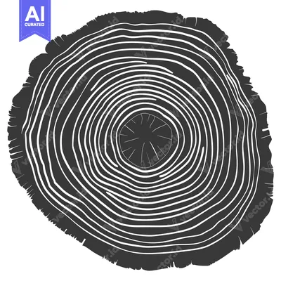 Popular premium asset: A Cross-Section of a Tree Trunk Showing Annual Growth Rings