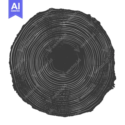Popular premium asset: A Detailed Cross-Section of a Tree Trunk