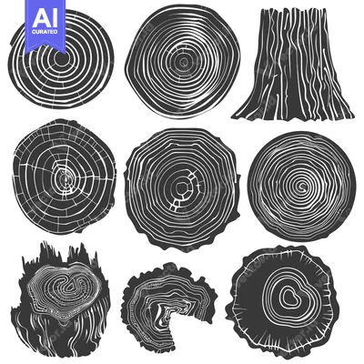 Aset desain premium: Cross-section of tree trunks, with growth rings and bark