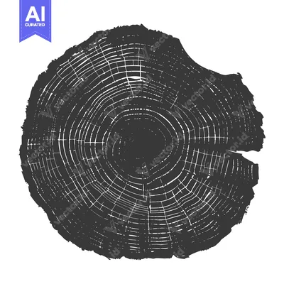 Popular premium asset: A Cross-Section of a Tree Trunk Showing Growth Rings