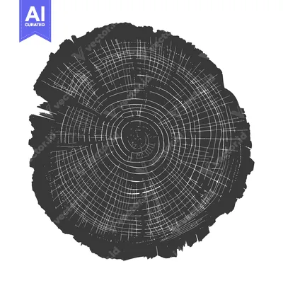 Popular premium asset: A detailed black and white drawing of a tree trunk cross-section with