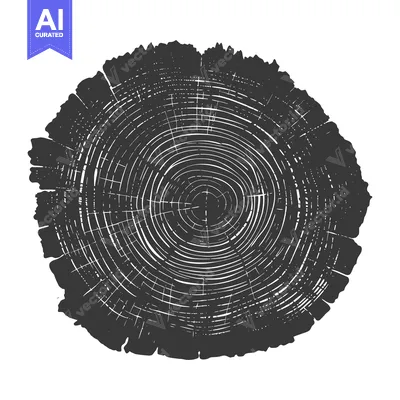 Aset premium populer: A Detailed Cross-Section of a Tree Trunk Showing Growth Rings
