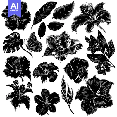 Aset premium populer: Black and White Illustration of Tropical Flowers and Leaves
