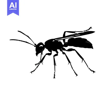 Aset premium populer: Black and White Silhouette of a Wasp with Wings Spread