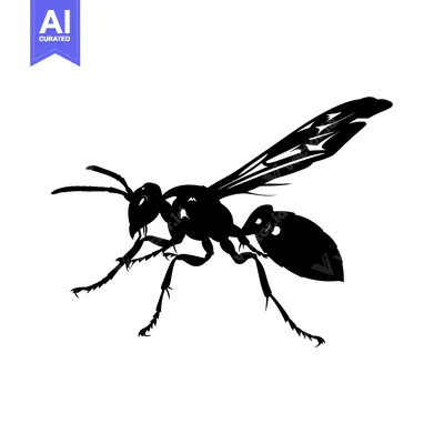 Aset premium populer: Black and White Silhouette of a Wasp