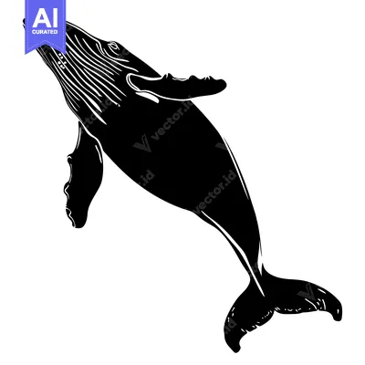 Silhouette of a Humpback Whale Swimming Upwards