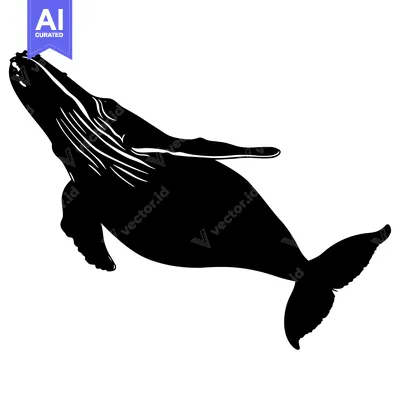 Black Silhouette of a Humpback Whale Swimming
