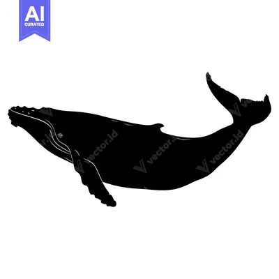 Black and White Silhouette of a Humpback Whale Swimming