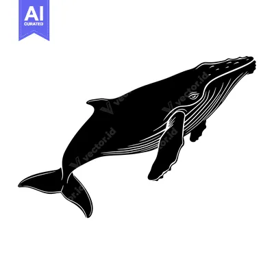 Aset premium populer: Black and White Silhouette of a Humpback Whale