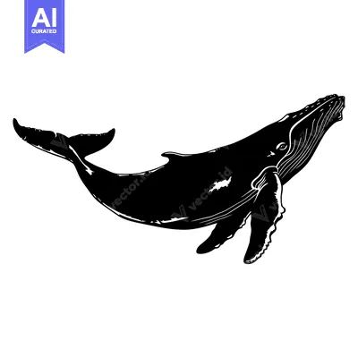 Black and White Silhouette of a Humpback Whale Swimming