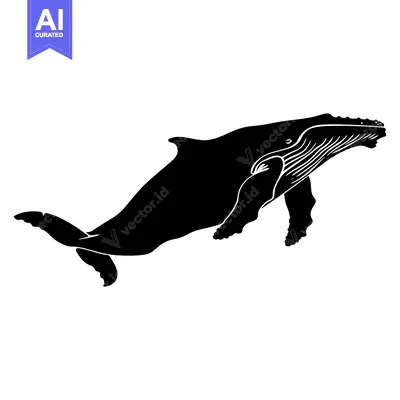 Black and White Silhouette of a Humpback Whale