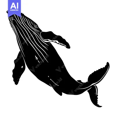 Black and White Silhouette of a Humpback Whale