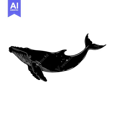 Black and White Silhouette of a Humpback Whale