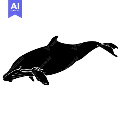 Aset premium populer: Black and white silhouette of a humpback whale breaching