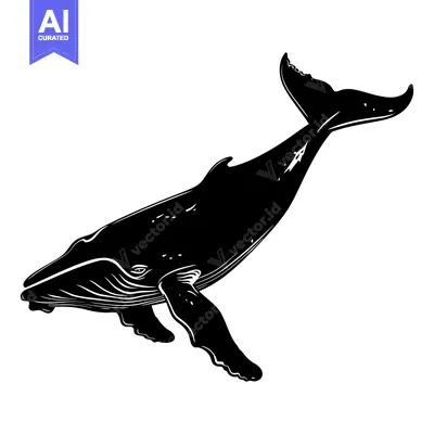 Aset desain premium: Black and white silhouette of a humpback whale