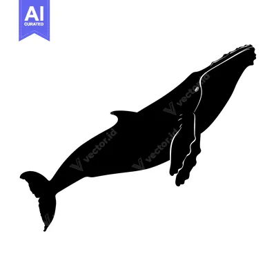 Popular premium asset: Black and White Silhouette of a Humpback Whale Leaping from the Water