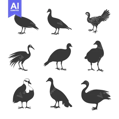 Aset premium populer: Nine Bird Silhouettes in Black and White