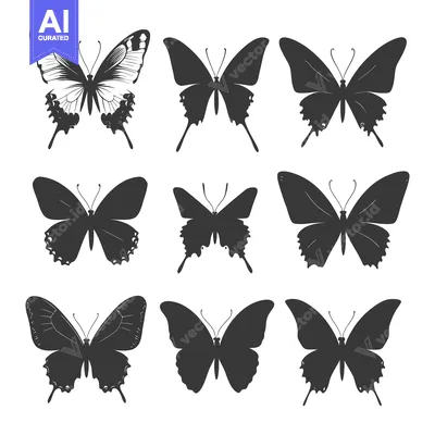 Popular premium asset: Nine Black and White Butterfly Silhouettes